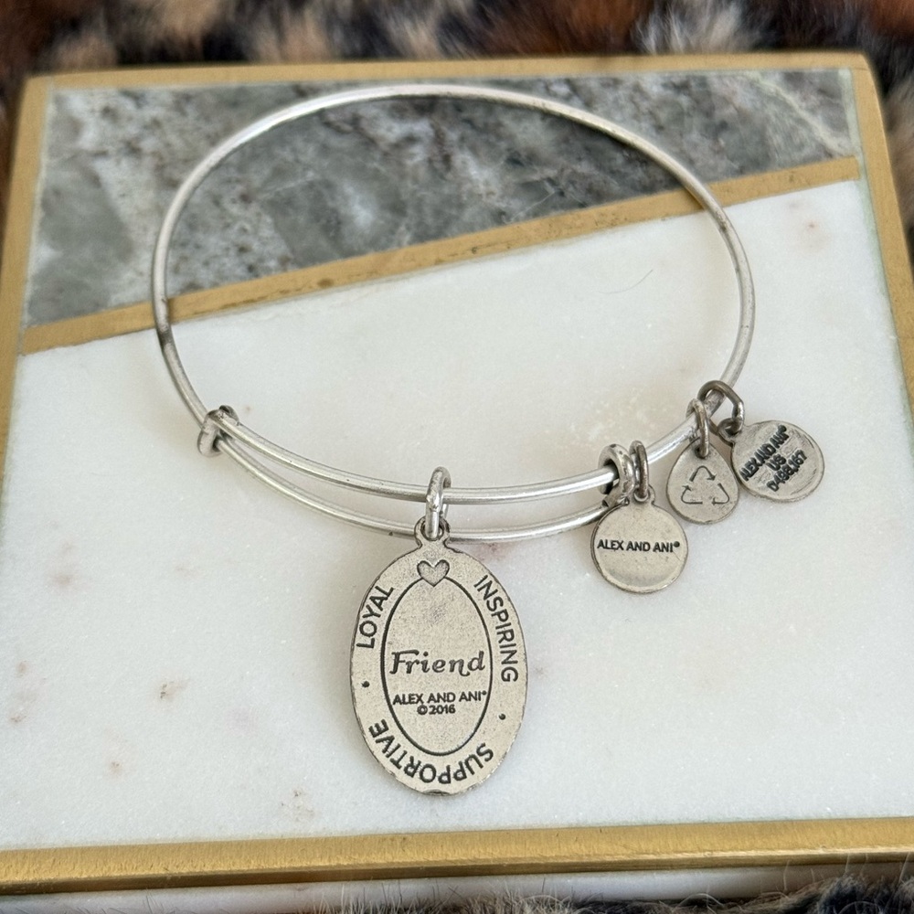 Alex and Ani 2016 “ Friend “ Friendship Silver-tone Adjustable Bangle Bracelet - Picture 5 of 7
